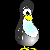 Play Penguin Paul
